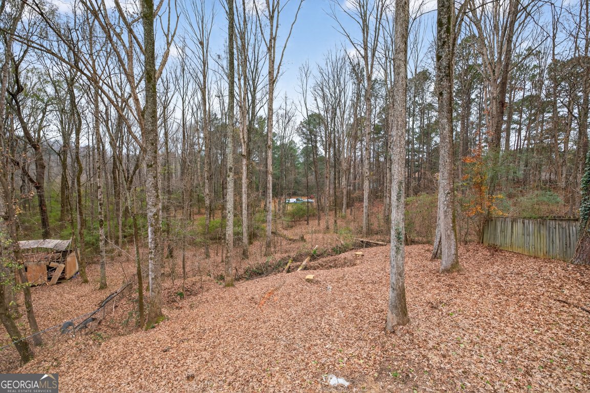 2444 Windridge Drive Conyers - Photo 45