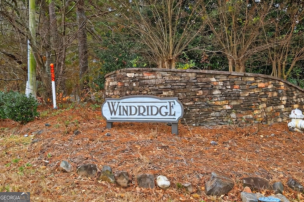 2444 Windridge Drive Conyers - Photo 59