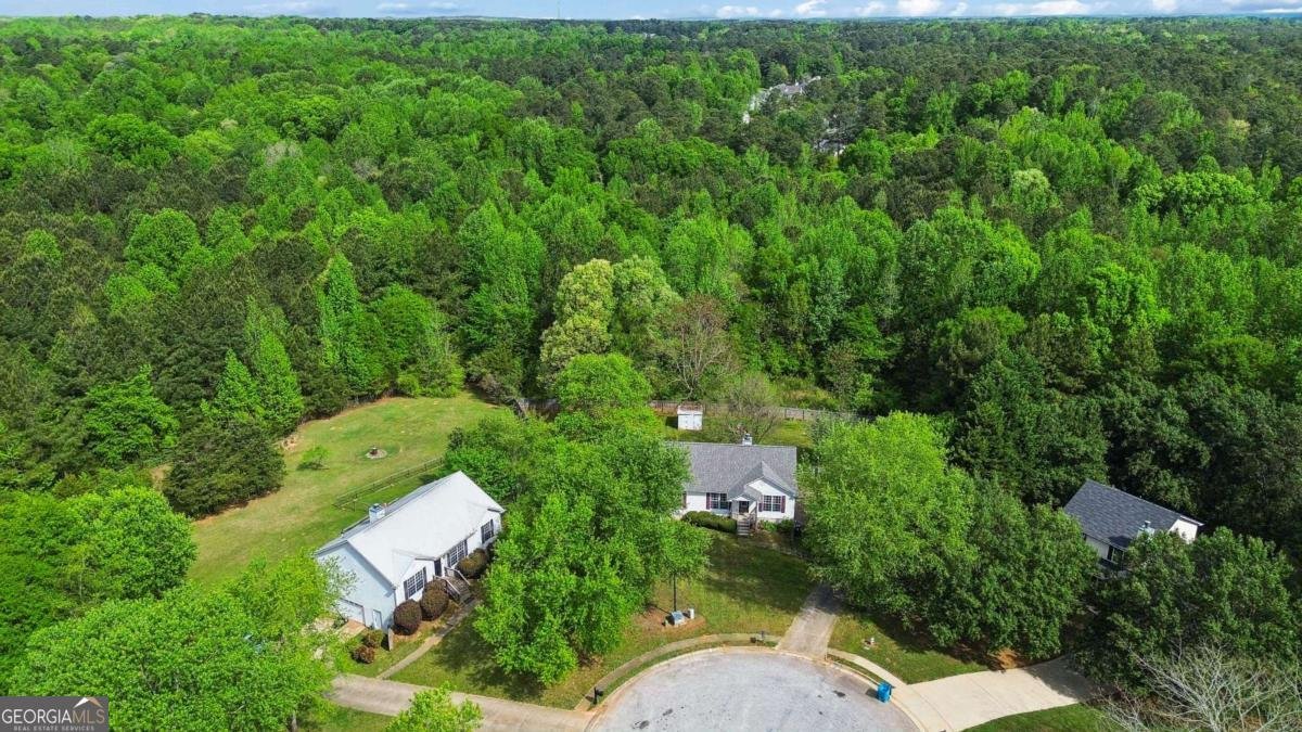 1123 Patriot Circle Mcdonough - Photo 28