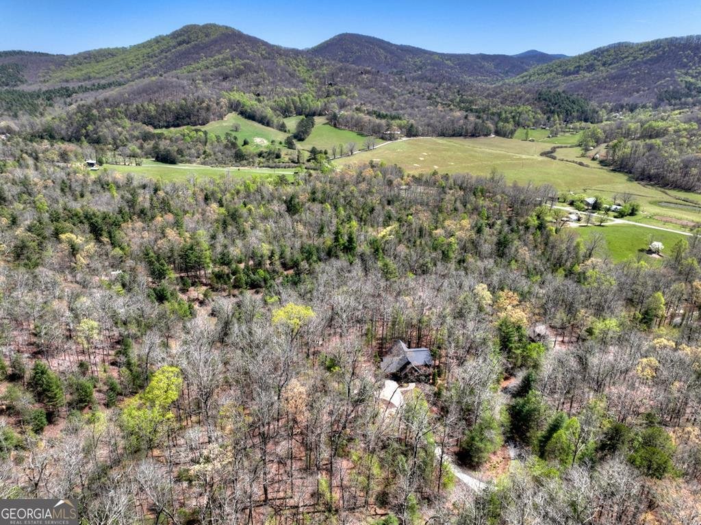 366 Shepherds Way Morganton - Photo 19