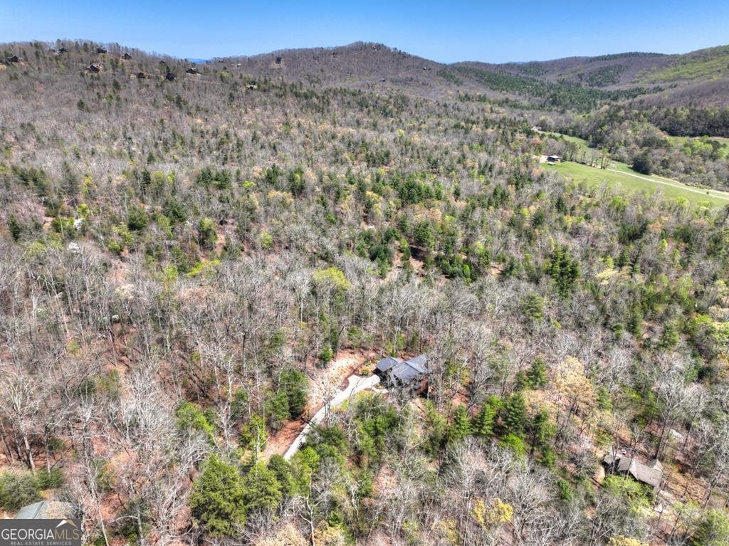 366 Shepherds Way Morganton - Photo 20