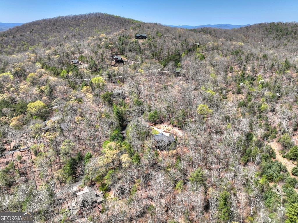 366 Shepherds Way Morganton - Photo 21