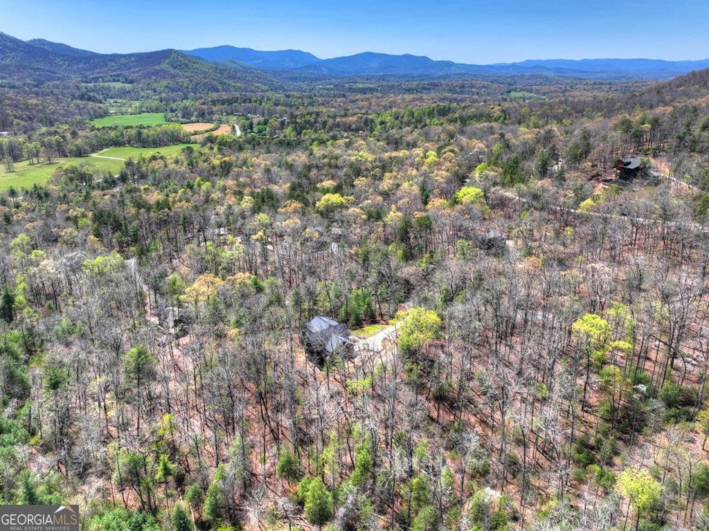 366 Shepherds Way Morganton - Photo 22