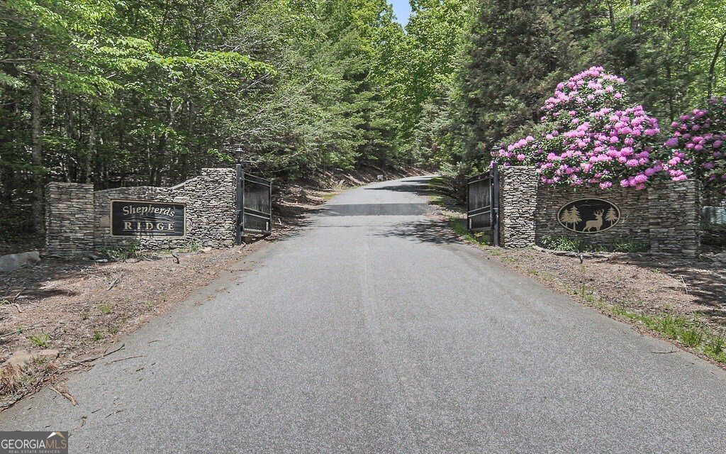 366 Shepherds Way Morganton - Photo 47