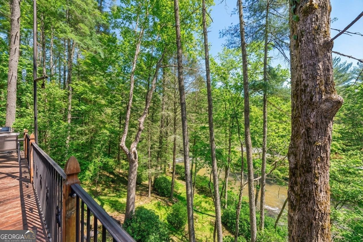 218 Blue Gate Lane Dahlonega - Photo 70