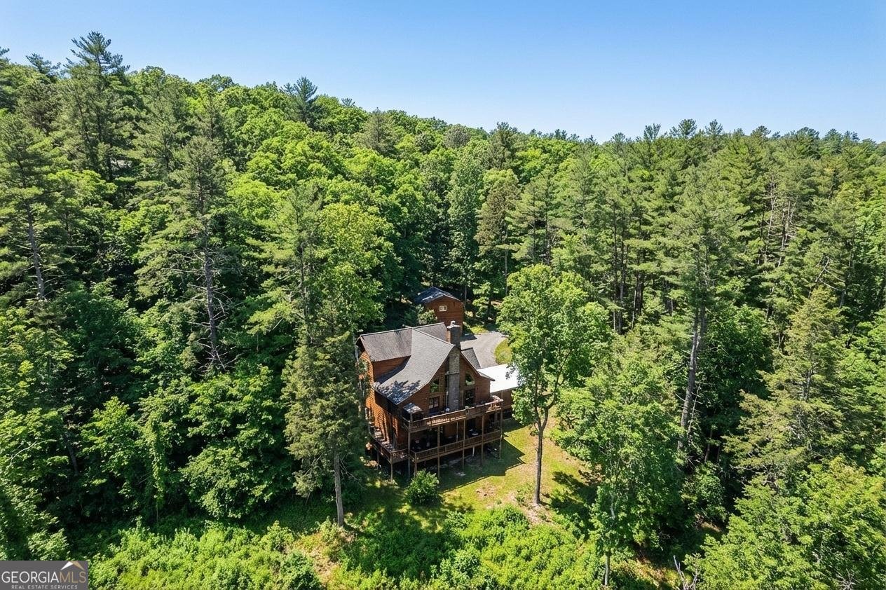 218 Blue Gate Lane Dahlonega - Photo 72