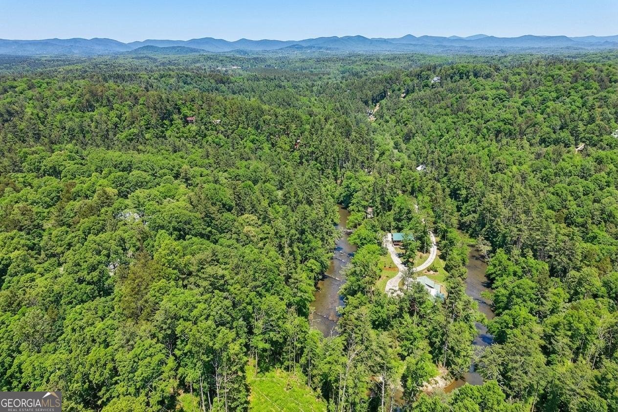 218 Blue Gate Lane Dahlonega - Photo 74