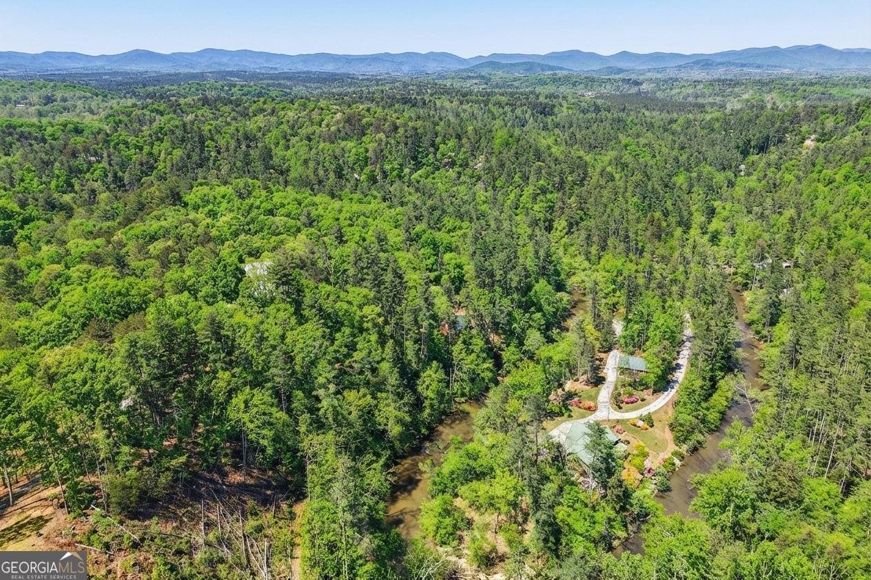 218 Blue Gate Lane Dahlonega - Photo 75