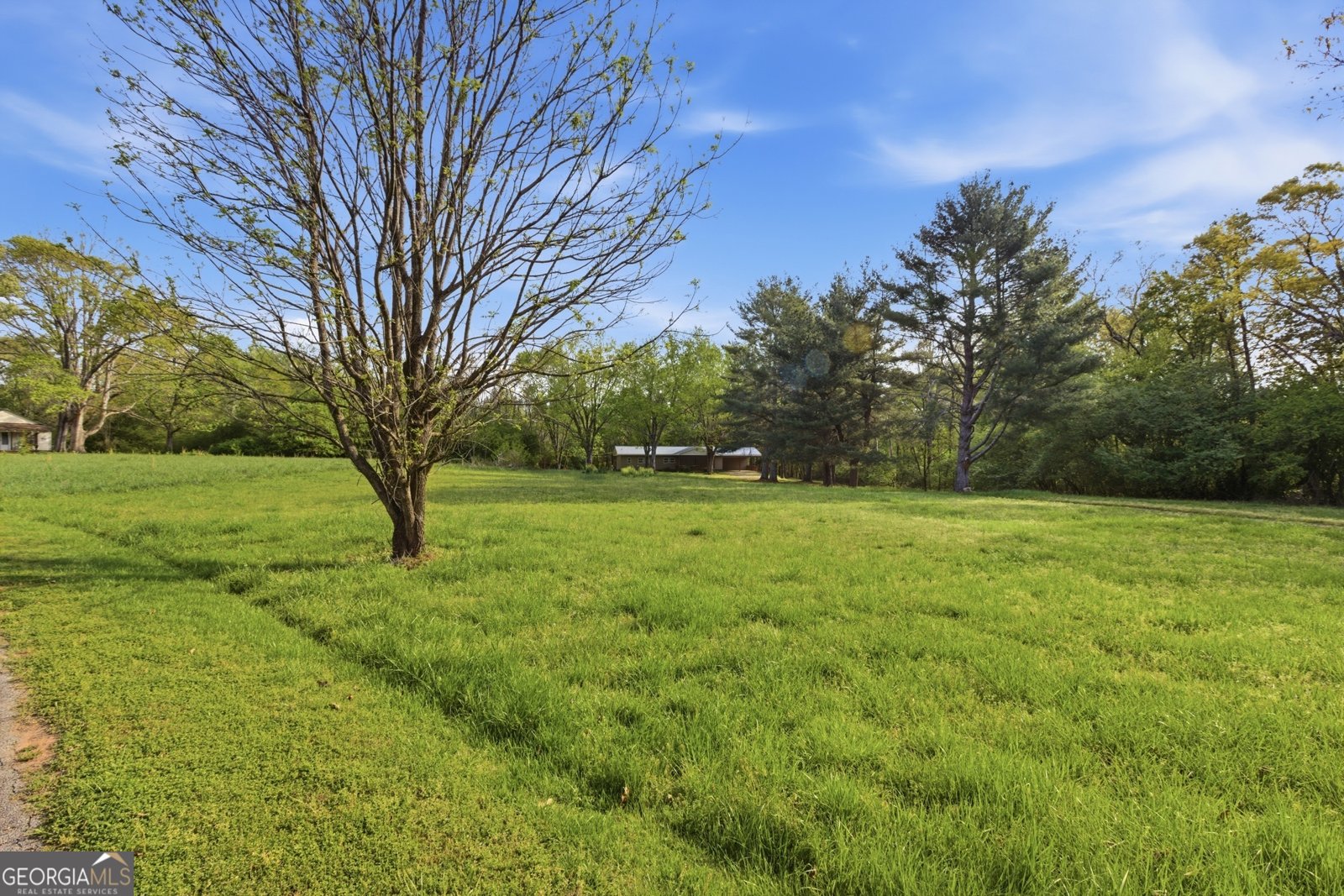 6668 Belton Bridge Road Lula - Photo 1