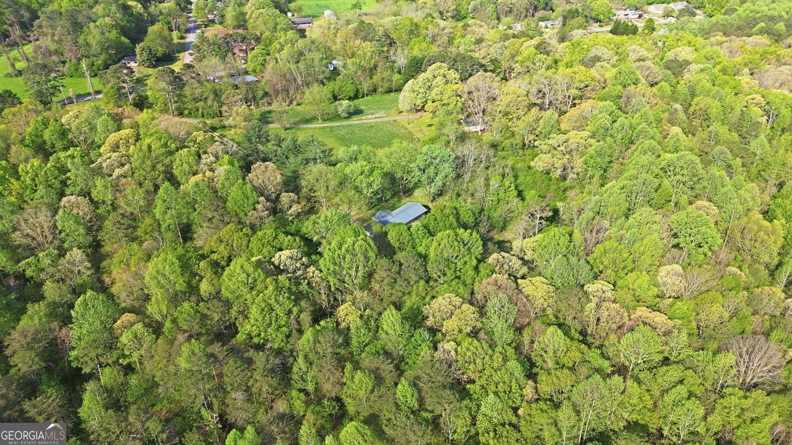 6668 Belton Bridge Road Lula - Photo 16