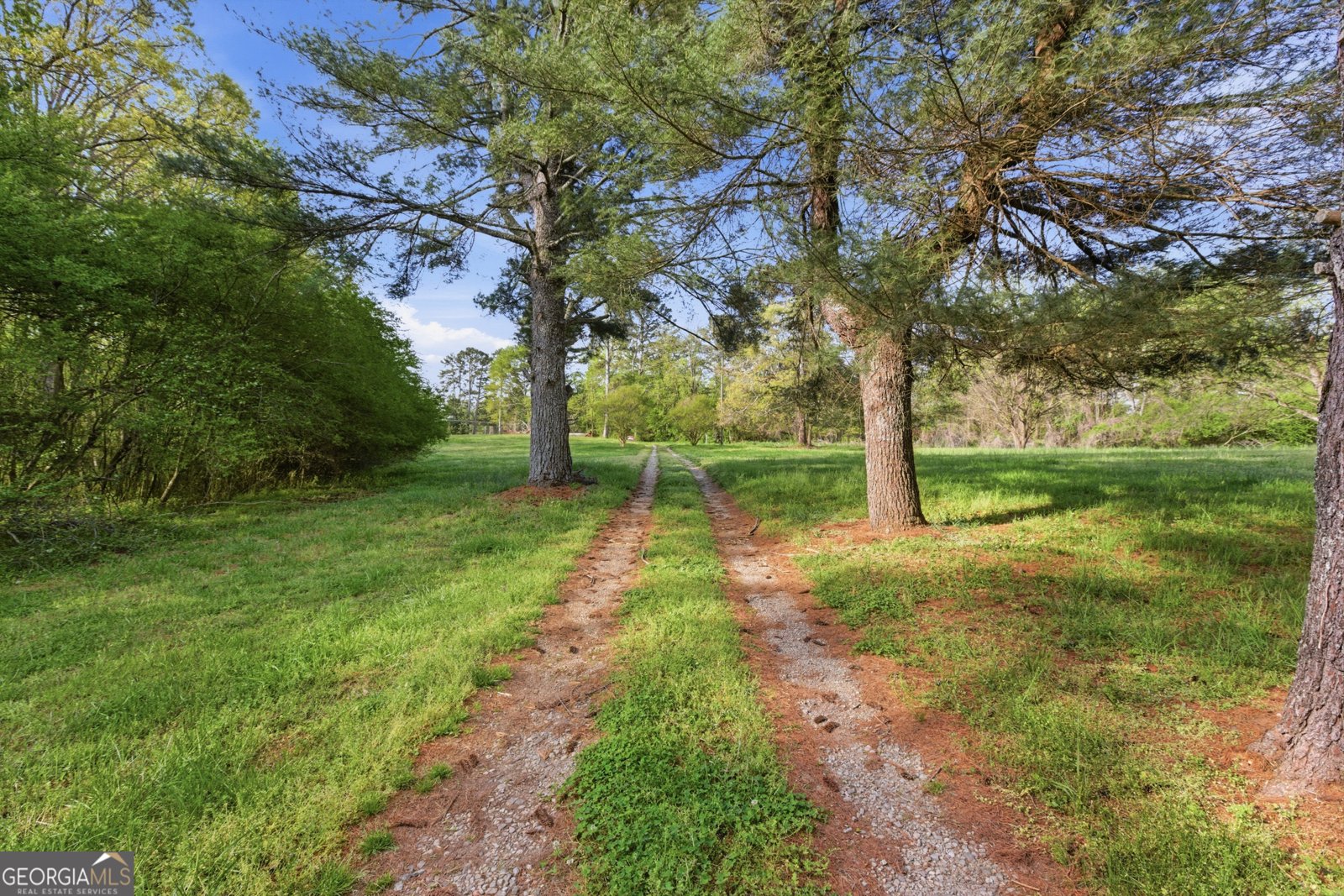 6668 Belton Bridge Road Lula - Photo 18