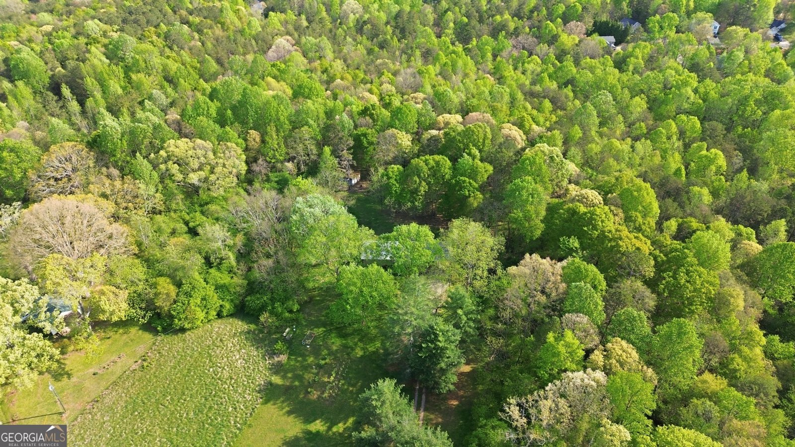 6668 Belton Bridge Road Lula - Photo 6