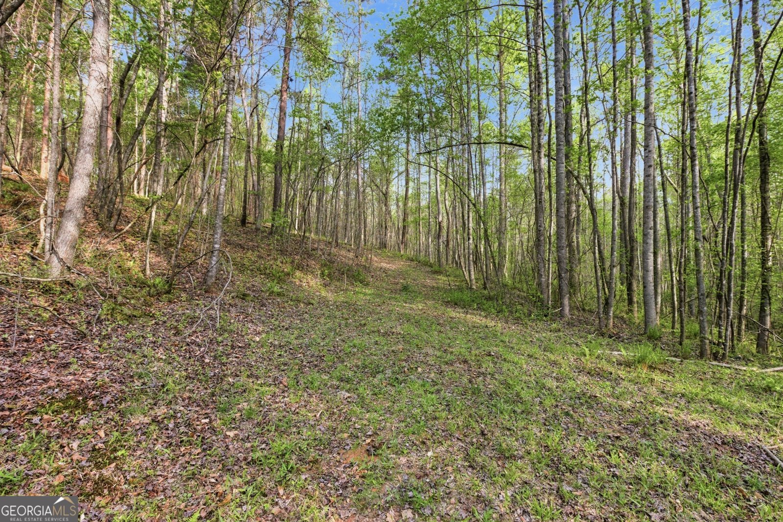 6668 Belton Bridge Road Lula - Photo 8