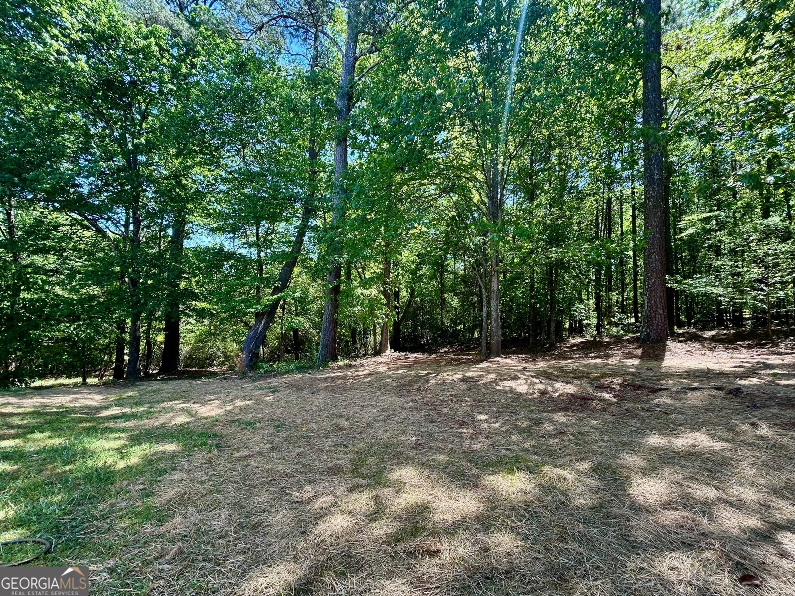 3100 Oak Ridge Lane Loganville - Photo 36