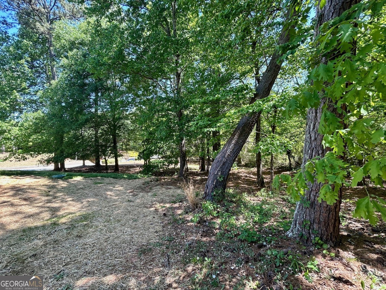 3100 Oak Ridge Lane Loganville - Photo 37