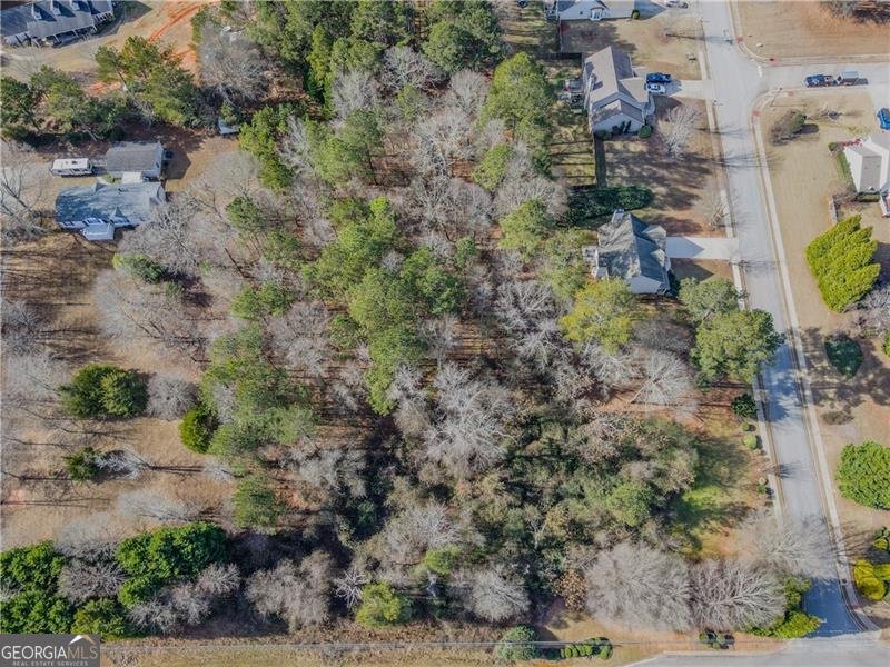 3100 Oak Ridge Lane Loganville - Photo 39