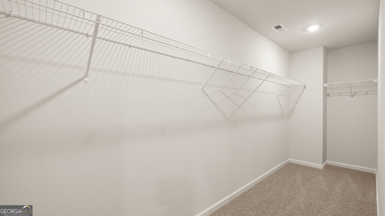 460 Silver Moon Drive Loganville - Photo 67