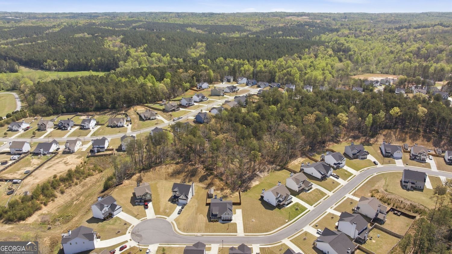 6600 River Station Drive Lula - Photo 45