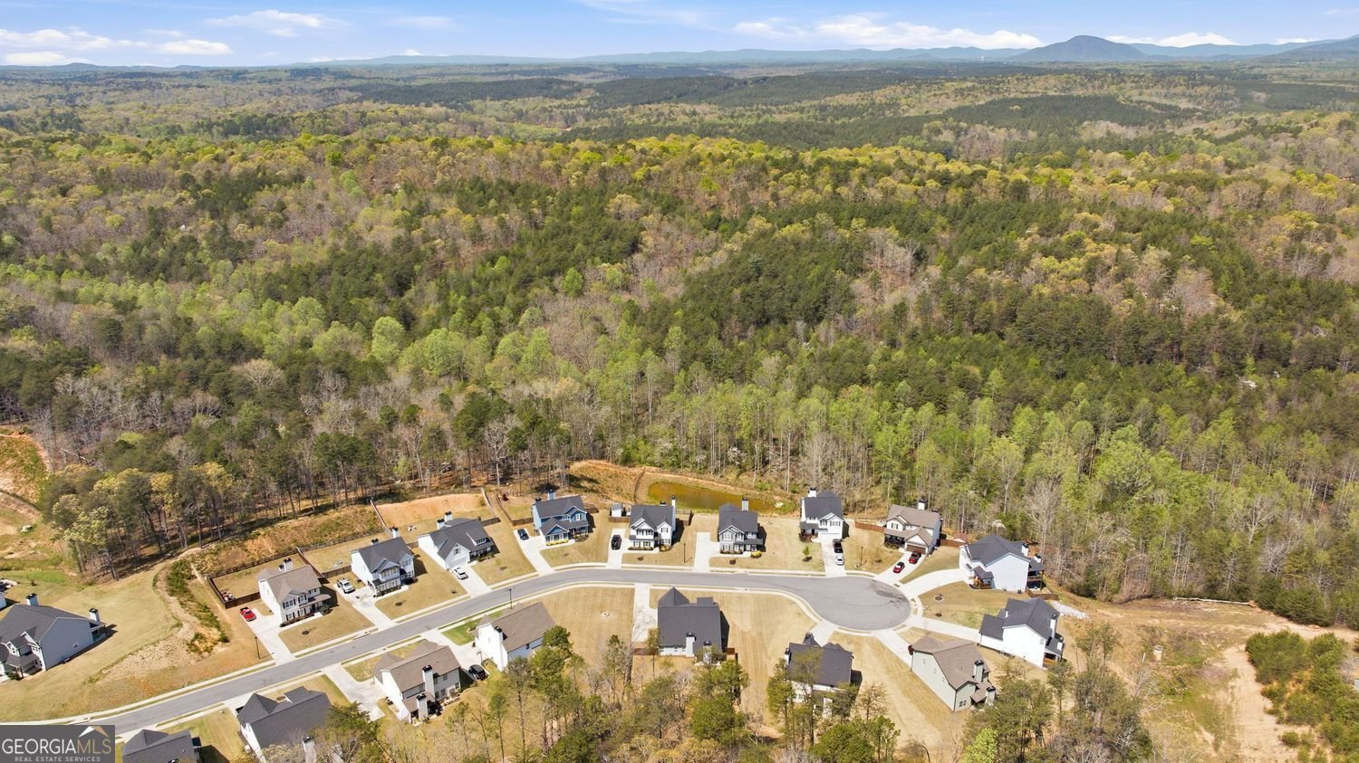 6600 River Station Drive Lula - Photo 47