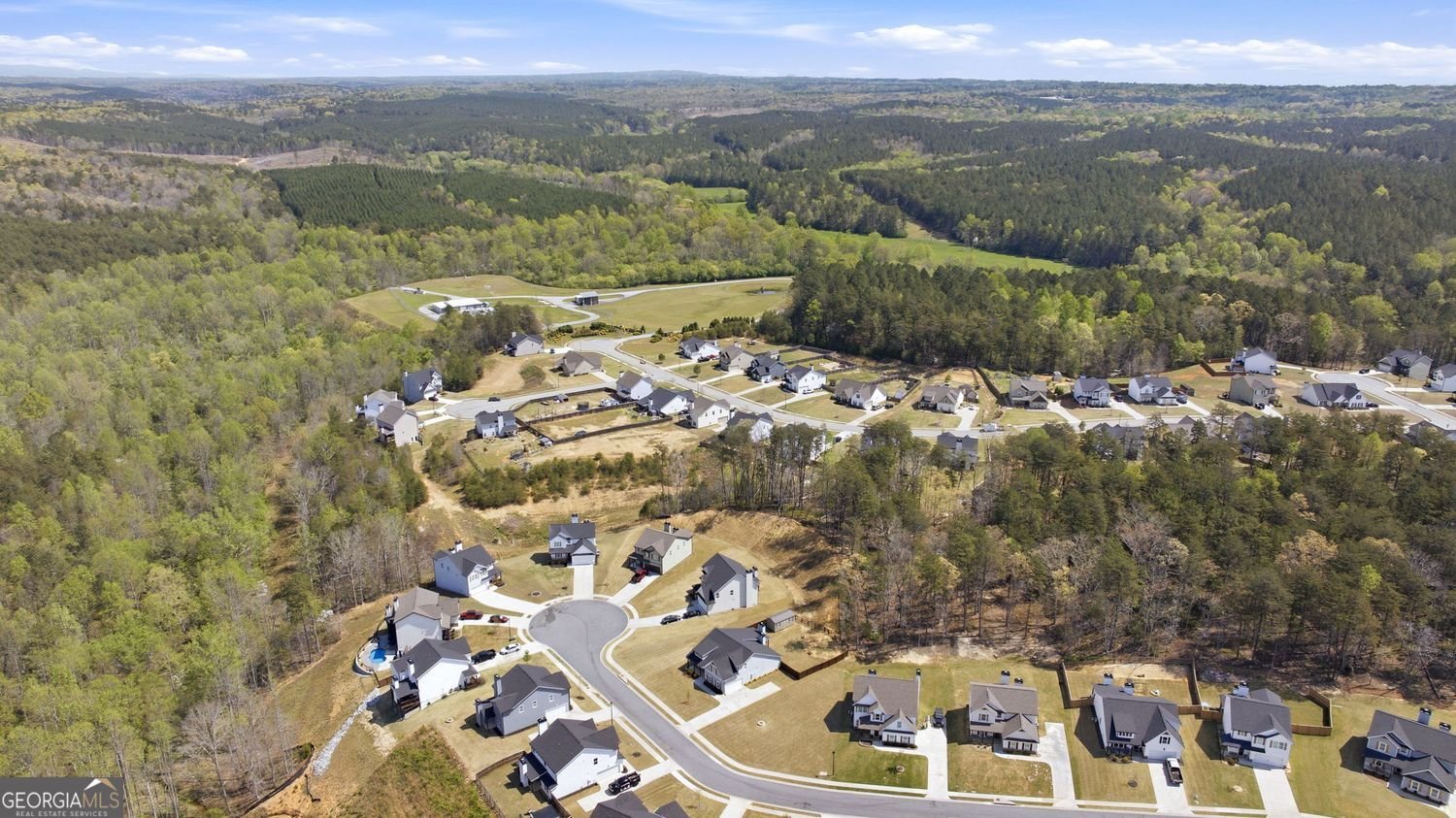 6600 River Station Drive Lula - Photo 50