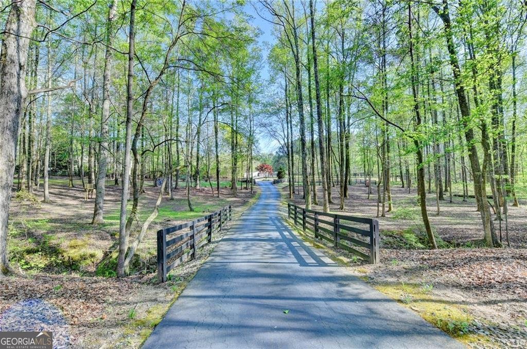 995 Freehome Road Canton - Photo 112