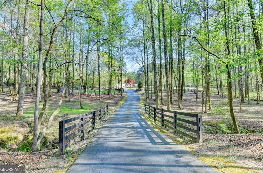 995 Freehome Road Canton - Photo 113