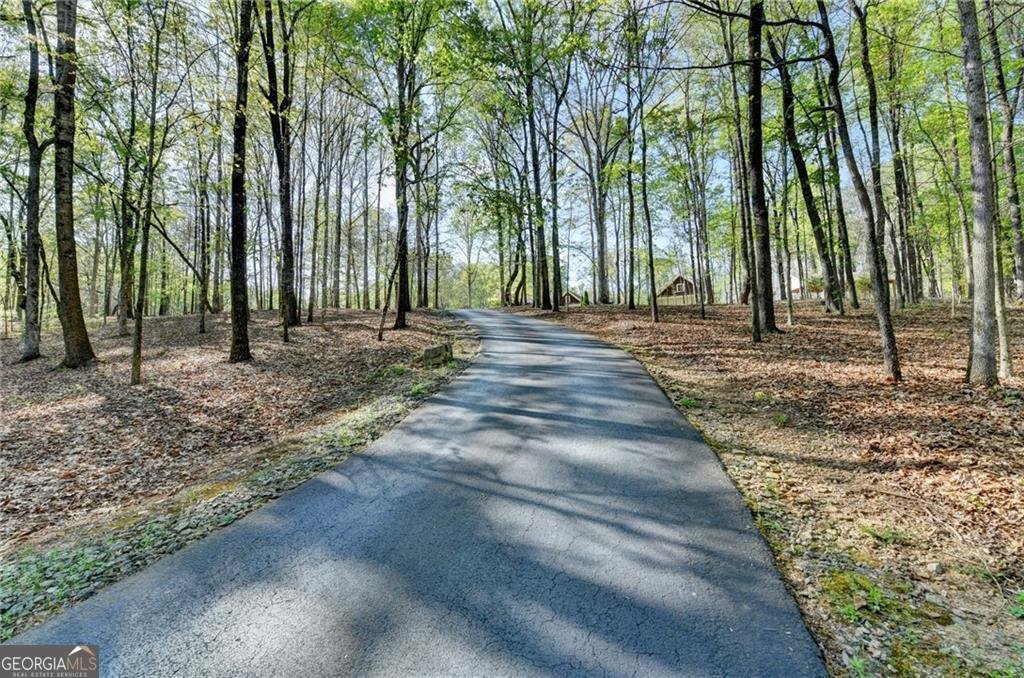 995 Freehome Road Canton - Photo 114