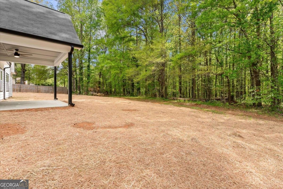 9667 Villa Rica Highway Villa Rica - Photo 38