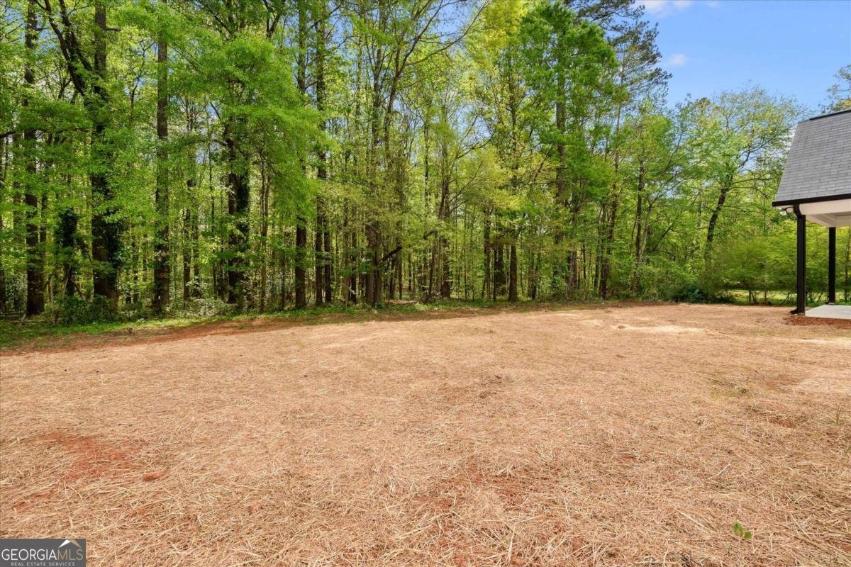 9667 Villa Rica Highway Villa Rica - Photo 39