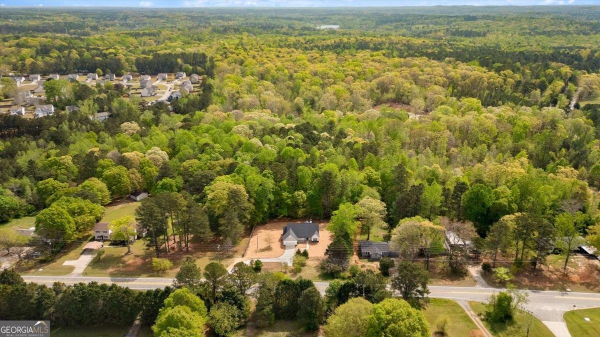 9667 Villa Rica Highway Villa Rica - Photo 45