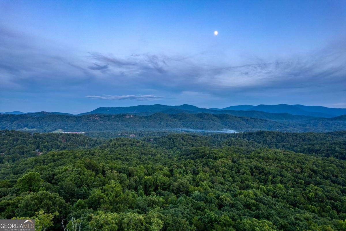 280 Pointe Of View Blue Ridge - Photo 34