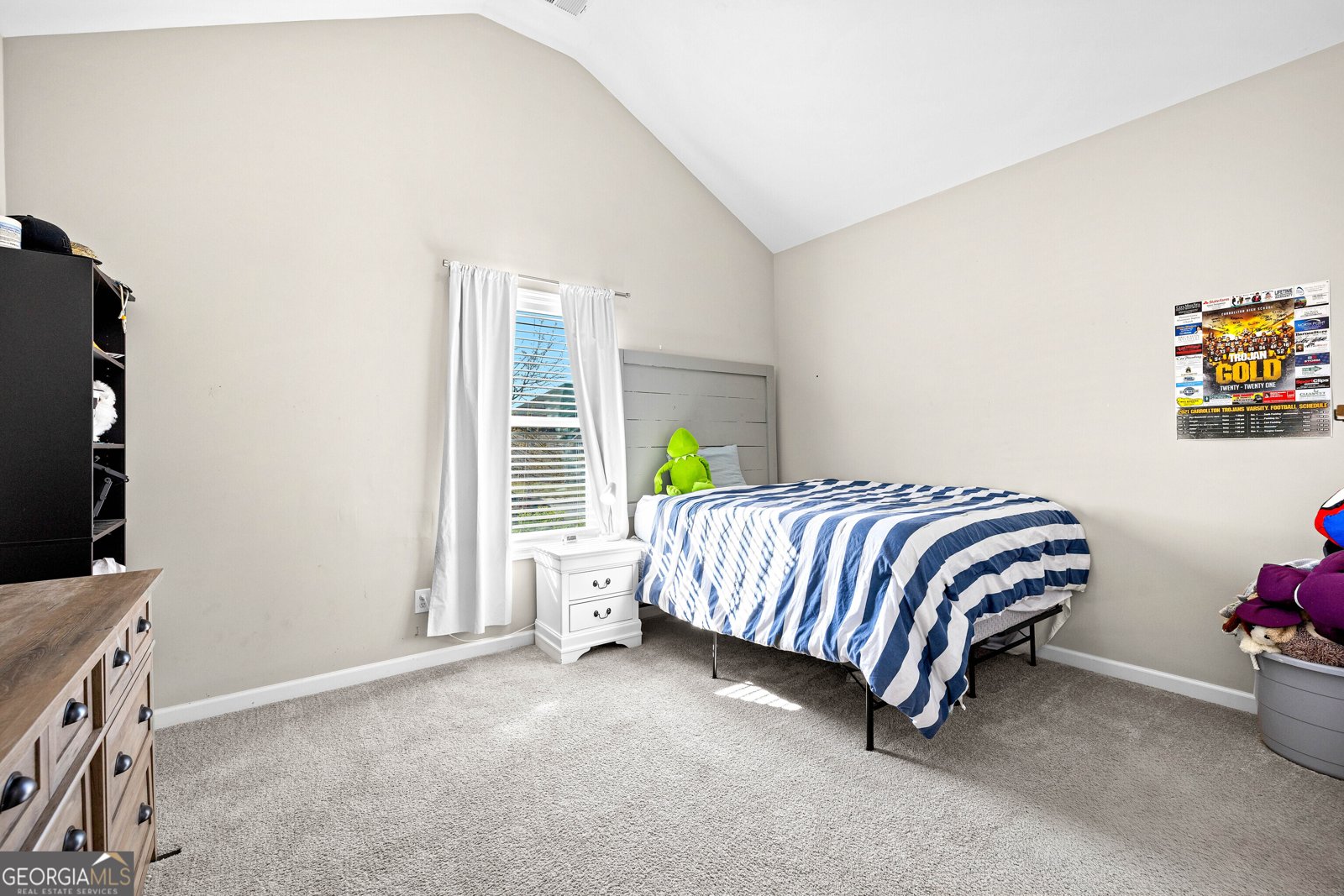 161 Springwood Drive Carrollton - Photo 36