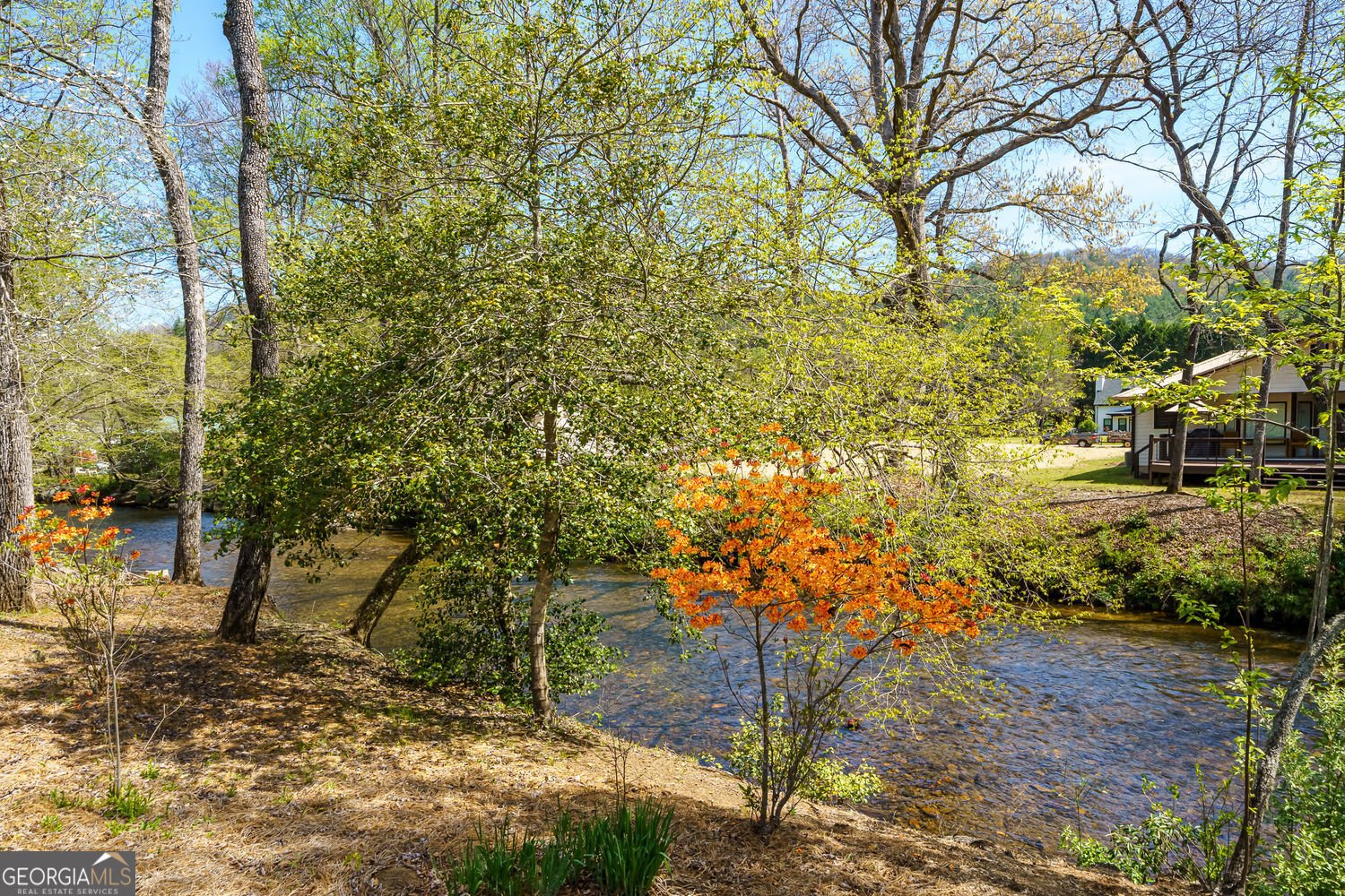 2171 Big Pine Drive Hiawassee - Photo 48