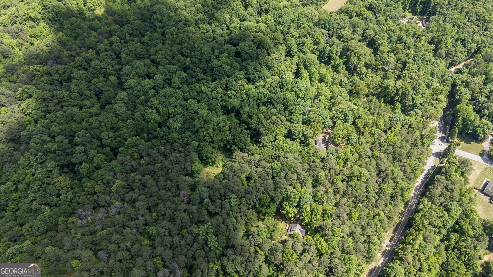 1301 Bob Hunton Road Douglasville - Photo 33