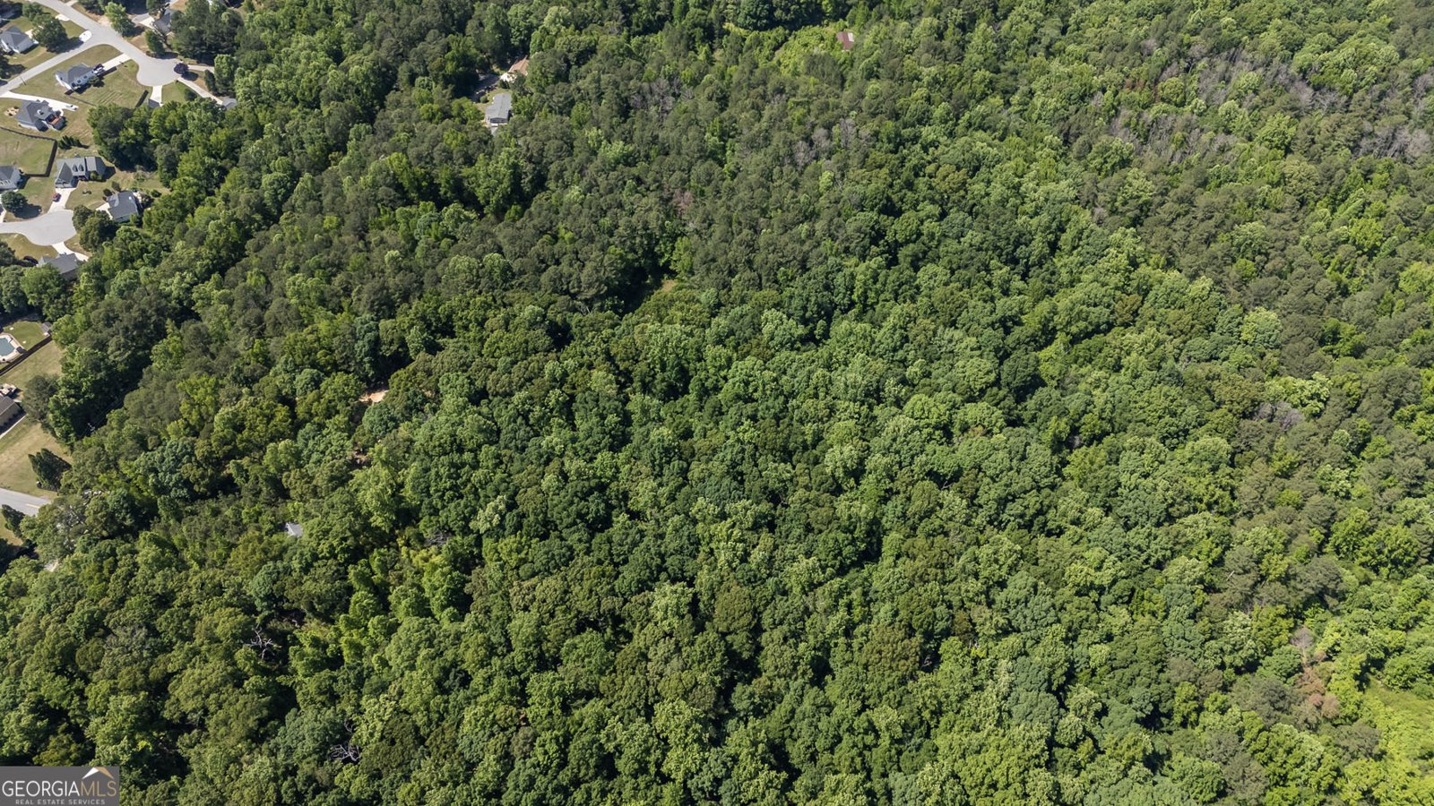 1301 Bob Hunton Road Douglasville - Photo 36