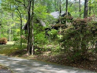 1301 Bob Hunton Road Douglasville - Photo 45