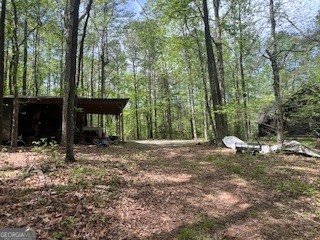 1301 Bob Hunton Road Douglasville - Photo 49