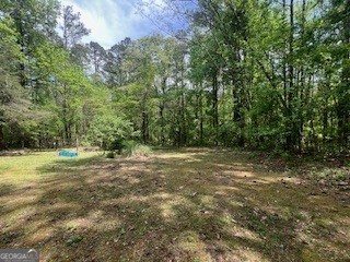 1301 Bob Hunton Road Douglasville - Photo 53