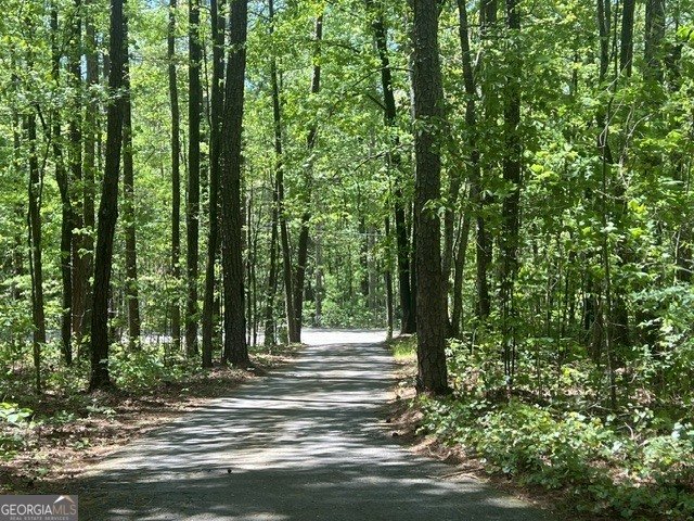 1301 Bob Hunton Road Douglasville - Photo 59