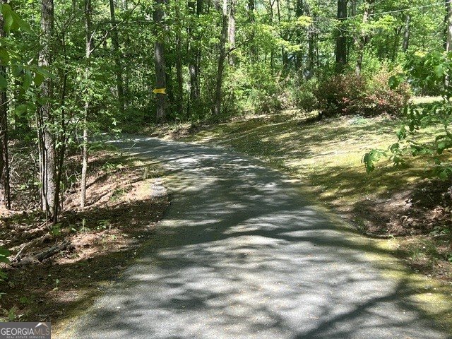 1301 Bob Hunton Road Douglasville - Photo 60