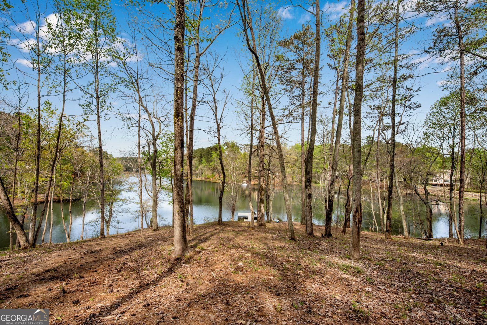 3812 Rock Ivy Trail Roswell - Photo 100