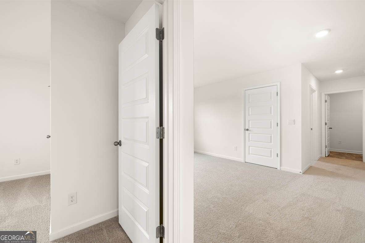 663 Whitman Lane Stockbridge - Photo 59