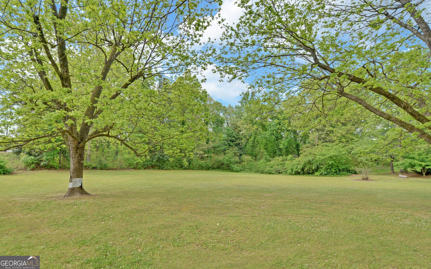 586 Collins Road Toccoa - Photo 43