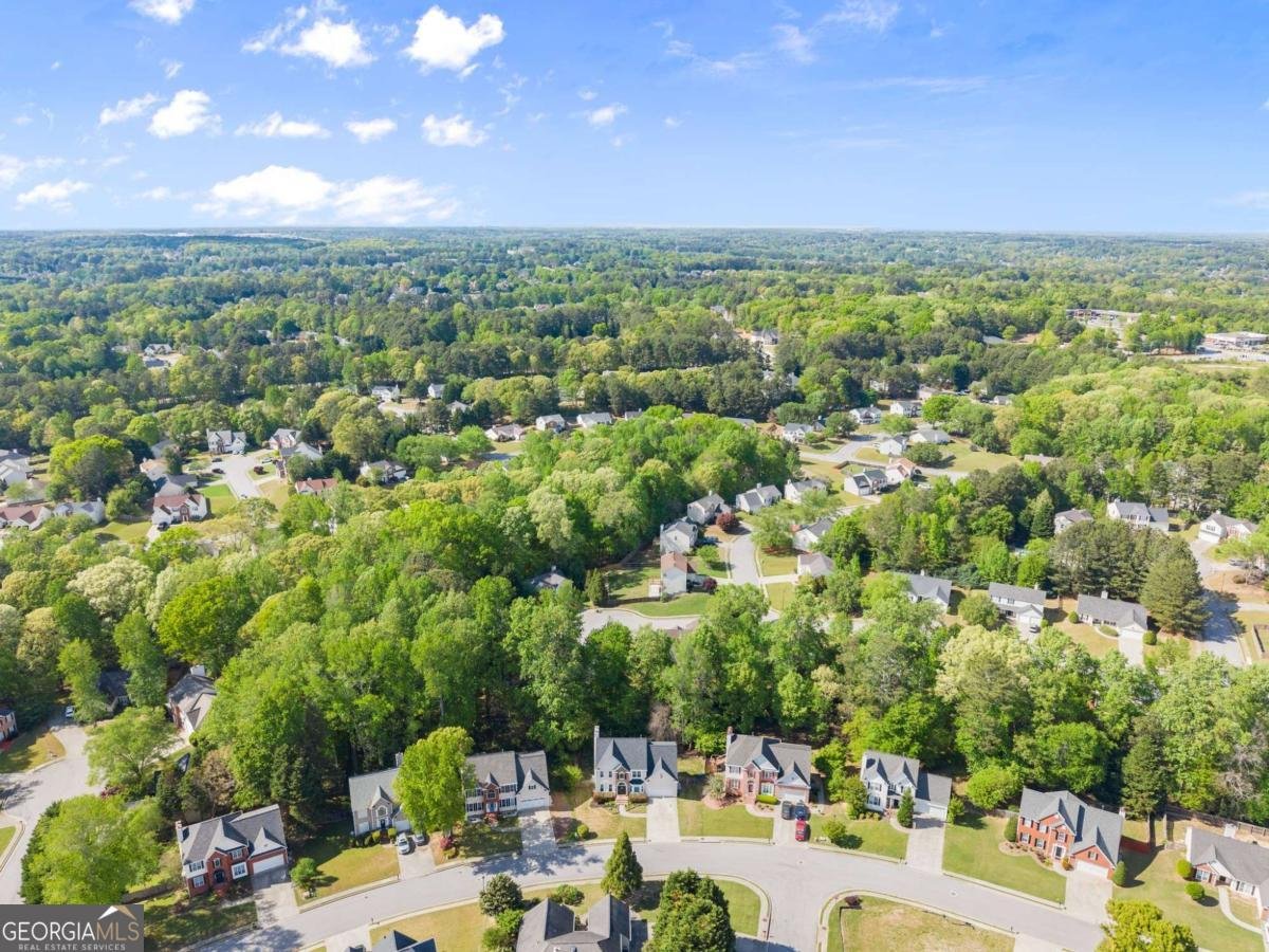 1165 Evergreen Oak Way Dacula - Photo 59