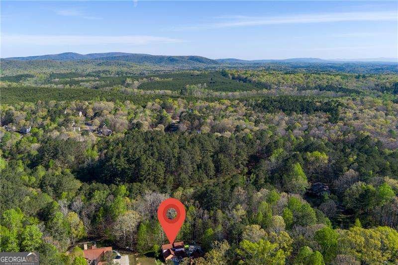 1045 Fincher Road Canton - Photo 39