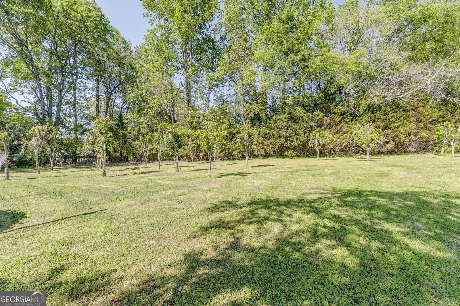 7360 Highway 48 Menlo - Photo 54