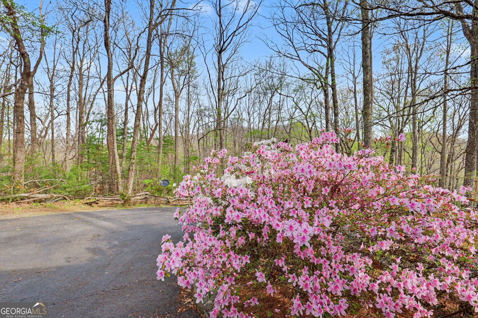 8528 Soapstone Creek Trail Hiawassee - Photo 60