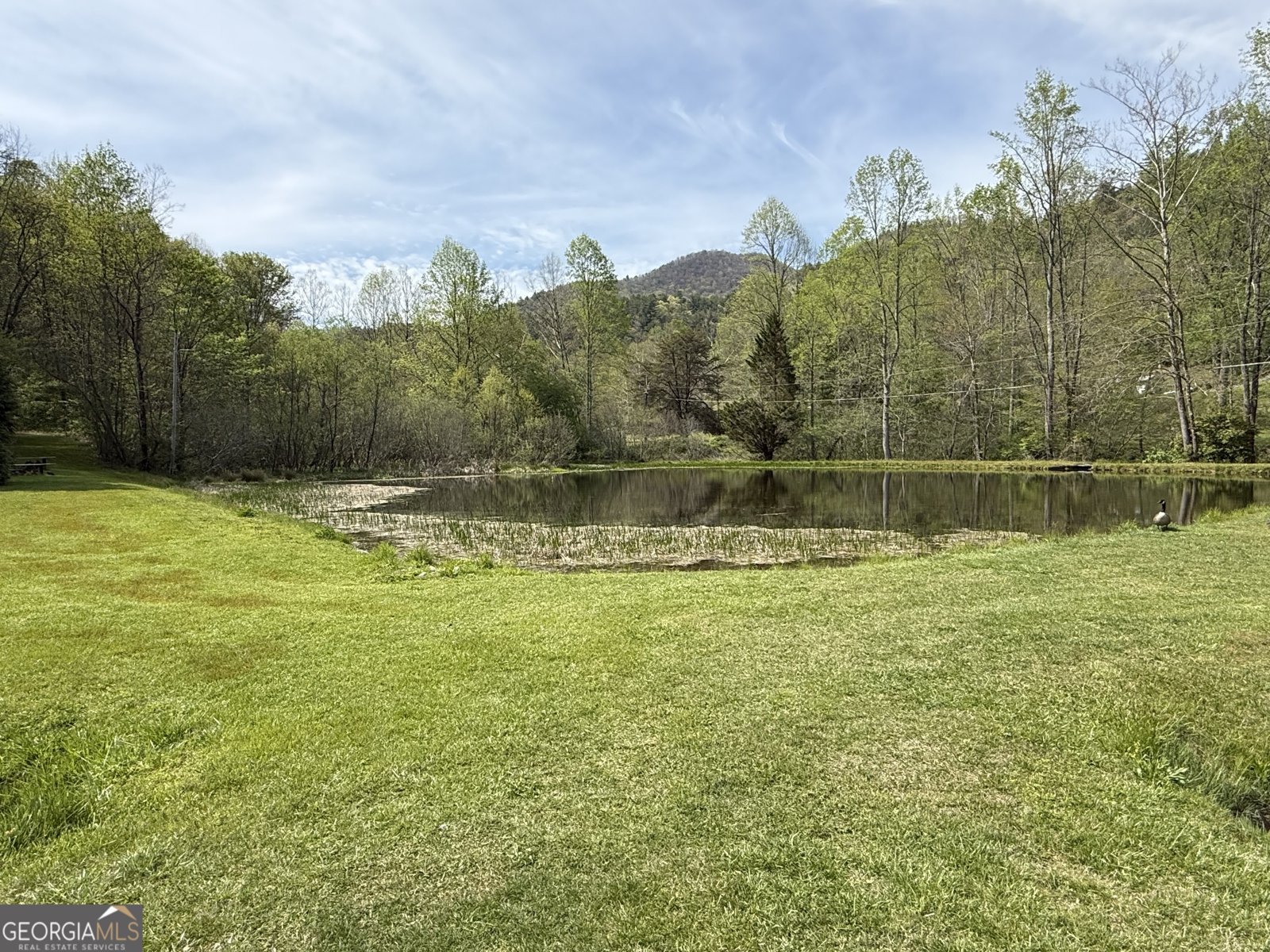 8528 Soapstone Creek Trail Hiawassee - Photo 74