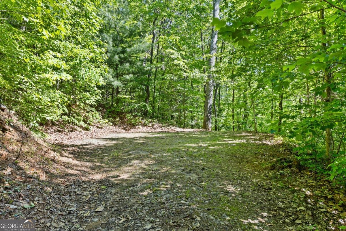 382 Highland Road Ellijay - Photo 17