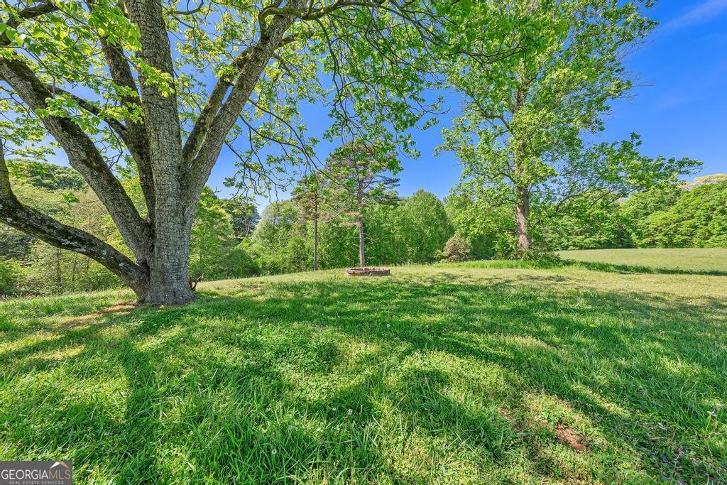 6351 Highway 17 Canon - Photo 30